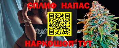 прущие грибы Наро-Фоминск