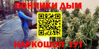 сатива Нарткала