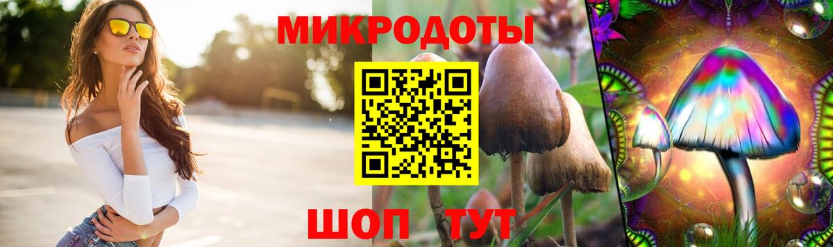 Галлюциногенные грибы Psilocybine cubensis Черняховск