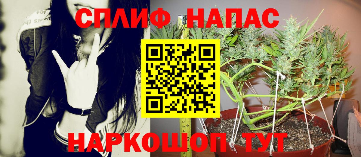 Конопля индика Черняховск